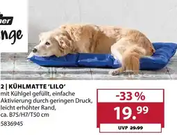 Dehner Kühlmatte lilo Angebot