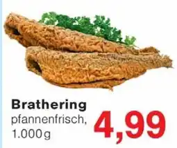 Wiglo Wunderland Brathering Angebot