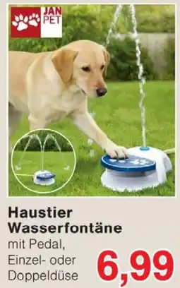 Wiglo Wunderland Haustier Wasserfontäne Angebot