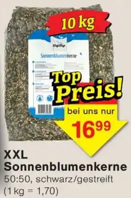 Wiglo Wunderland XXL Sonnenblumenkerne Angebot