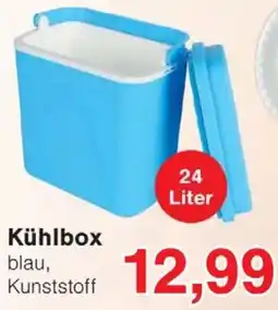 Wiglo Wunderland Kühlbox Angebot