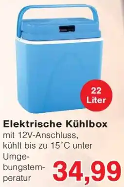 Wiglo Wunderland Elektrische Kühlbox Angebot