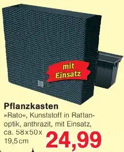 Wiglo Wunderland Pflanzkasten Angebot