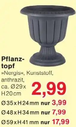 Wiglo Wunderland Pflanztopf Angebot