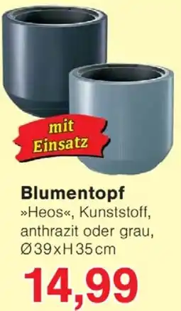Wiglo Wunderland Blumentopf Angebot