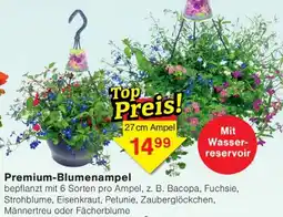 Wiglo Wunderland Premium-Blumenampel Angebot