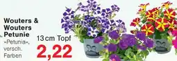 Wiglo Wunderland Wouters & Wouters Petunie Angebot