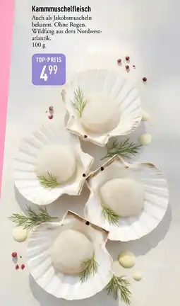 Galeria Markthalle Kammmuschelfleisch Angebot