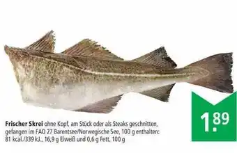 Marktkauf Frischer Skrei Angebot