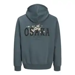 Netto Marken-Discount Jack & Jones Kapuzenpullover KENJI Hoodie Angebot