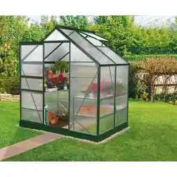 Netto Marken-Discount Vitavia Venus 2500 Gewächshaus 4 mm HKP grün, ohne Fundament Angebot