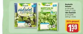 REWE Bonduelle Hofsalat Oder Kopfsalat Angebot