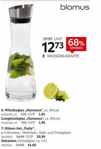 XXXLutz Wasserkaraffe Blomus Angebot