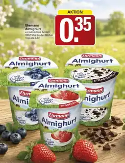 WEZ Ehrmann Almighurt Angebot