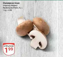 Globus Champignons braun Angebot