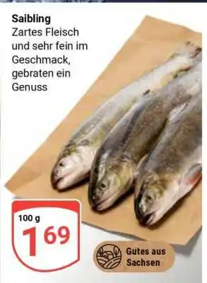 Globus Saibling Angebot
