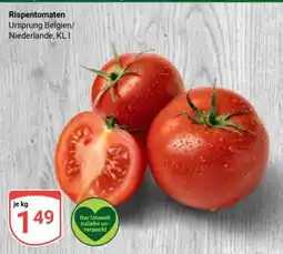 Globus Rispentomaten Angebot
