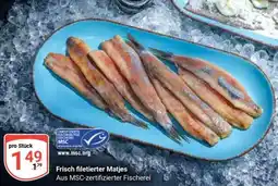 Globus Frisch filetierter Matjes Angebot