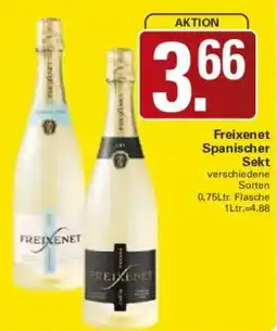 WEZ Freixenet Spanischer Sekt Angebot