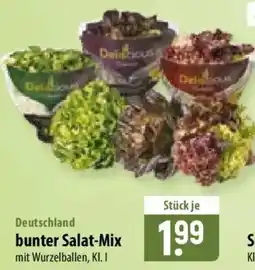Famila Nord Ost bunter Salat-Mix Angebot