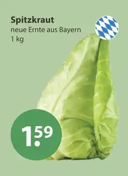 V Markt Spitzkraut Angebot