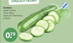 V Markt Gurken Angebot
