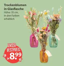V Markt Trockenblumen in glasflasche - pink Angebot