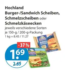 V Markt Hochland burger-/sandwich scheiben Angebot