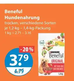 V Markt Beneful hundenahrung Angebot