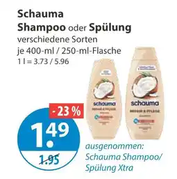 V Markt Schauma shampoo Angebot