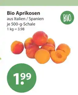 V Markt Bio aprikosen Angebot