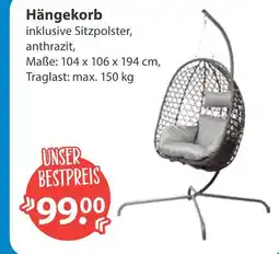 V Markt Hängekorb Angebot