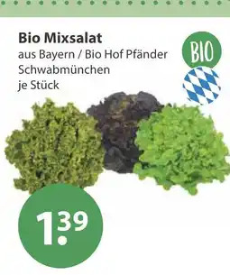V Markt Bio mixsalat Angebot