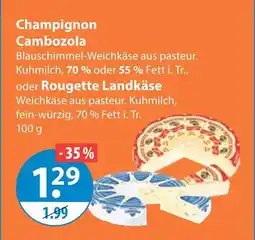 V Markt Champignon cambozola Angebot