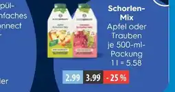 V Markt Schorlen-mix apfel Angebot