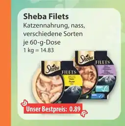 V Markt Sheba filets Angebot
