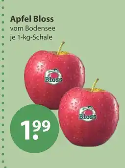 V Markt Bloss apfel Angebot
