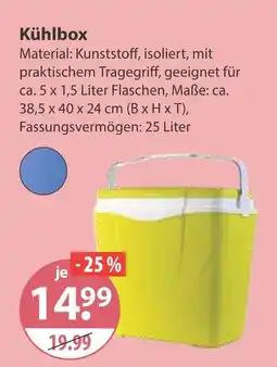V Markt Kühlbox Angebot