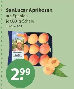 V Markt Sanlucar aprikosen Angebot