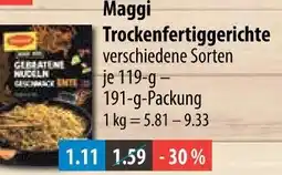 V Markt Maggi trockenfertiggerichte Angebot