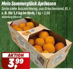 Simmel Mein Sommerglück Aprikosen Angebot