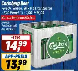 Simmel Carlsberg Beer Angebot