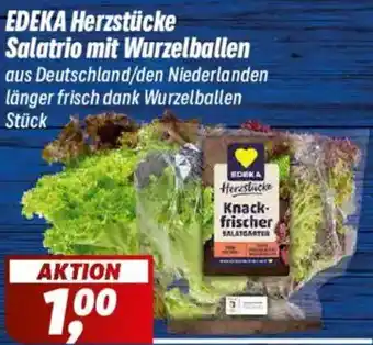Simmel EDEKA Herzstücke Salatrio mit Wurzelballen Angebot