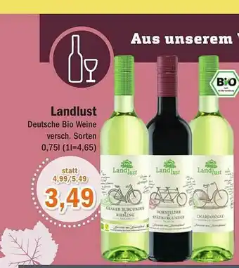 Aktiv Irma Landlust Deutsche Bio Weine Angebot