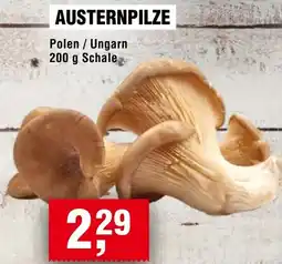 Handelshof Austernpilze Angebot