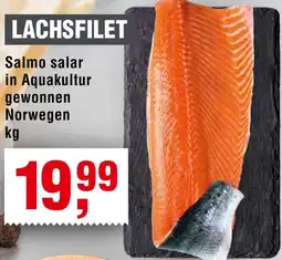 Handelshof Lachsfilet Angebot