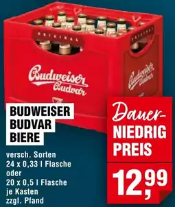 Handelshof Budweiser budvar biere Angebot