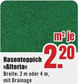 B1 Discount Baumarkt Rasenteppich Alteria Angebot