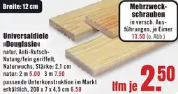 B1 Discount Baumarkt Universaldiele Douglasie Angebot