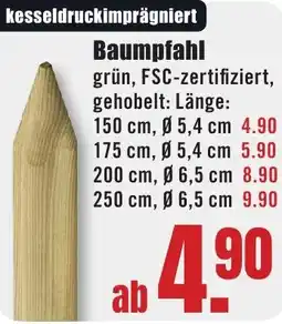 B1 Discount Baumarkt Baumpfahl Angebot